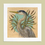 Fine Art Giclee Print Great Blue Heron