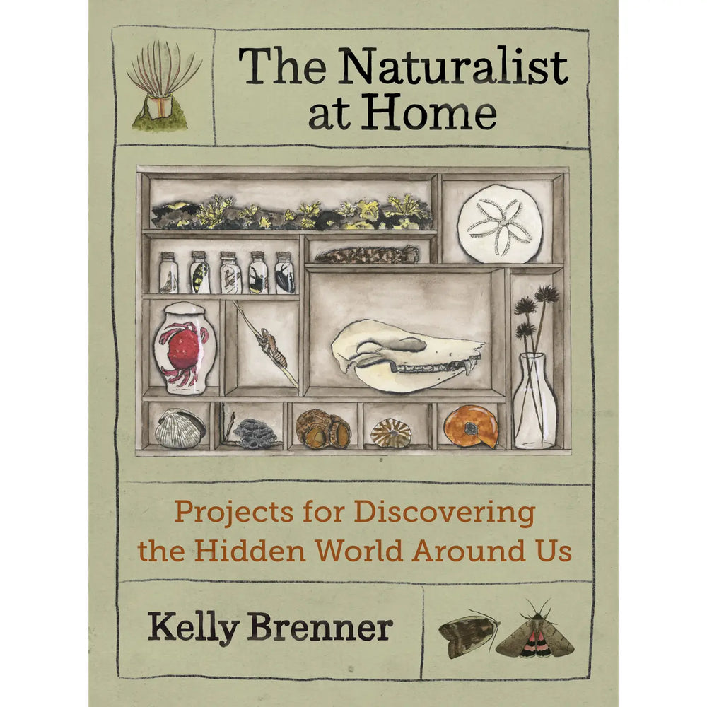 The Naturalist at Home