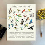 Virginia Birds Art Print